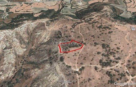 (Agricultural) in Pissouri, Limassol for Sale - 1