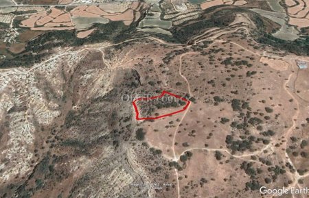 (Agricultural) in Pissouri, Limassol for Sale