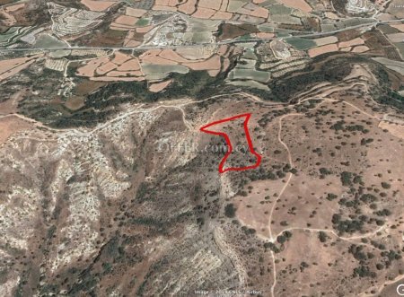 (Agricultural) in Pissouri, Limassol for Sale - 1