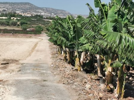 (Agricultural) in Sea Caves Pegeia, Paphos for Sale - 1