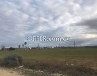 (Agricultural) in Psimolofou, Nicosia for Sale - 1