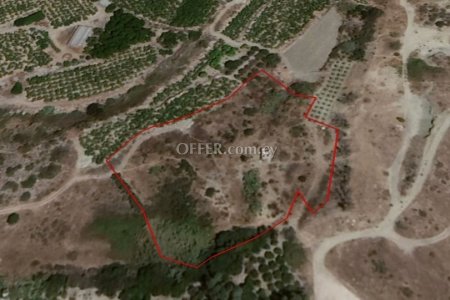 (Agricultural) in Kissonerga, Paphos for Sale - 1