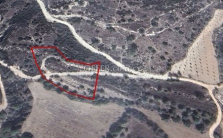 (Agricultural) in Trimithousa, Paphos for Sale
