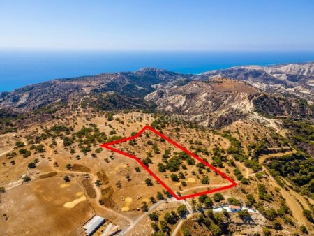 (Agricultural) in Pissouri, Limassol for Sale