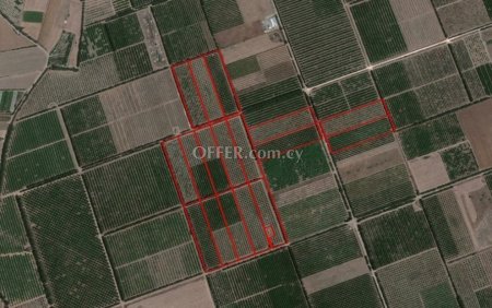(Agricultural) in Kolossi, Limassol for Sale