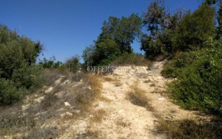 (Residential) in Tala, Paphos for Sale - 1