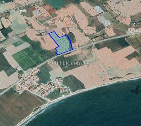 (Agricultural) in Mazotos, Larnaca for Sale - 1