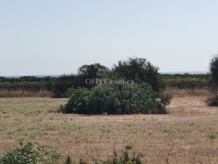 (Agricultural) in Sea Caves Pegeia, Paphos for Sale - 4