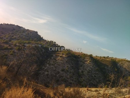 (Agricultural) in Amargeti, Paphos for Sale - 4