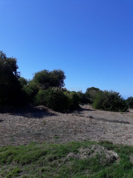 (Agricultural) in Trachypedoula, Paphos for Sale - 2
