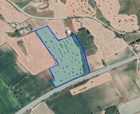 (Agricultural) in Mazotos, Larnaca for Sale - 2