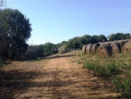 (Residential) in Polemi, Paphos for Sale - 3