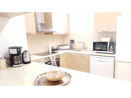 Luxury fully furnished and equipped 2 bedroom apartment - 10