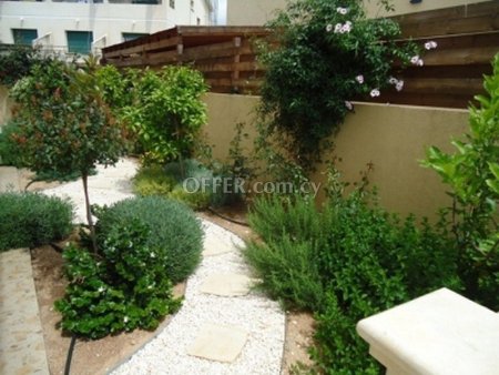 House (Detached) in Pascucci Area, Limassol for Sale - 10
