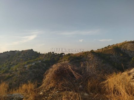 (Agricultural) in Amargeti, Paphos for Sale - 3