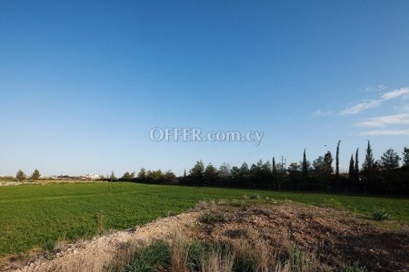 (Industrial) in Lakatamia, Nicosia for Sale - 4