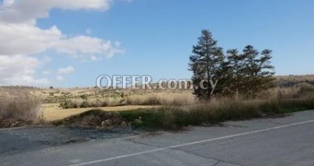 (Agricultural) in Pyla, Larnaca for Sale - 2