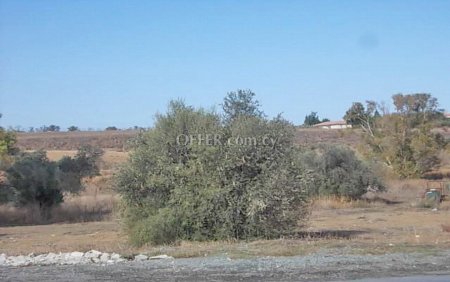 (Commercial) in Tseri, Nicosia for Sale - 3