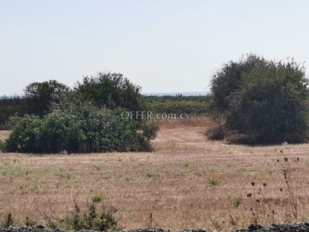 (Agricultural) in Sea Caves Pegeia, Paphos for Sale - 2