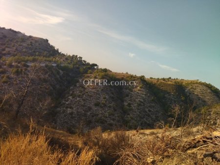 (Agricultural) in Amargeti, Paphos for Sale - 2