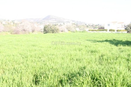 (Residential) in Tala, Paphos for Sale - 5