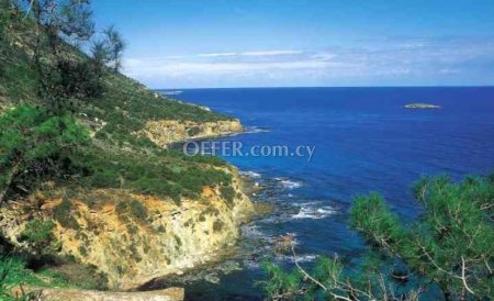  (Residential) in Agia Marina Chrysochou, Paphos for Sale - 5