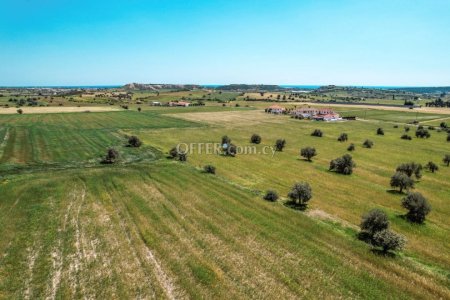 Field for Sale in Alaminos, Larnaca - 7