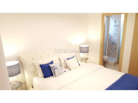 Luxury fully furnished and equipped 2 bedroom apartment - 6