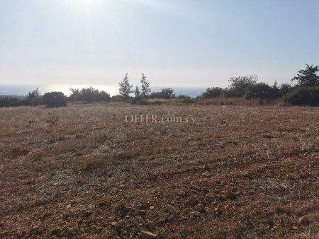 (Residential) in Tala, Paphos for Sale - 3