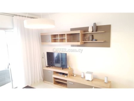 Luxury fully furnished and equipped 2 bedroom apartment - 5