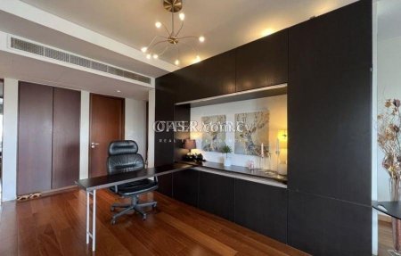 Penthouse apartment with  roof garden in Dasoupoli