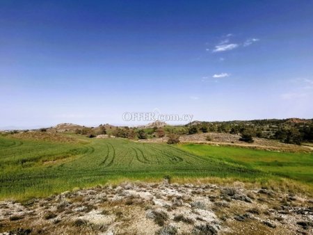 31,104 m2 OF LAND FOR INVESTEMENT IN SIA IDEAL FOR PHOTOVOLTAIC PARK OR A FARM - 4