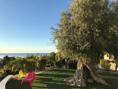 7 Bed Detached Villa for sale in Agios Tychon, Limassol - 4
