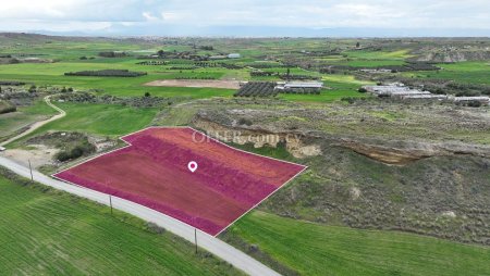 Agricultural field located in Ergates Nicosia - 2