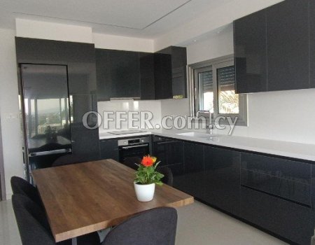 Brand new modern 2 bedroom furnished apartment