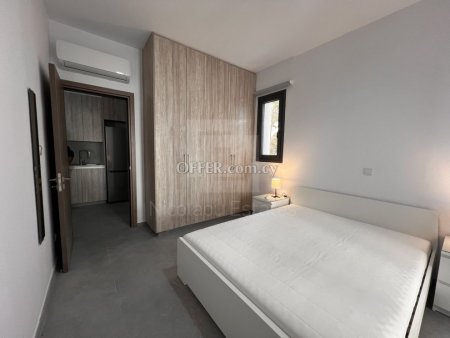 Luxury one bedroom apartment for rent in Aglantzia - 2