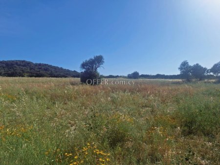 Field for sale in Zygi, Limassol - 1