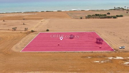 Touristic Field in Mazotos Larnaca