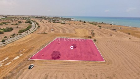 Touristic Field in Mazotos Larnaca - 3
