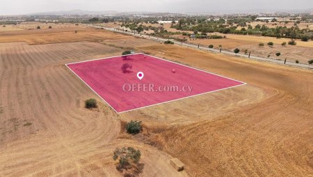 Touristic Field in Mazotos Larnaca - 2