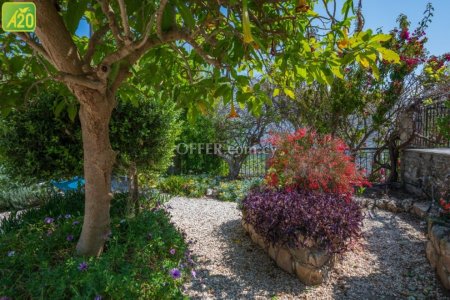 Detached Villa in Kritou Terra - 8
