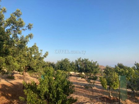 Field for sale in Prastio Avdimou, Limassol - 2