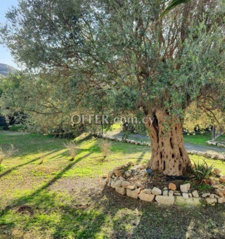 5 Bed Detached House for sale in Paramytha, Limassol - 2