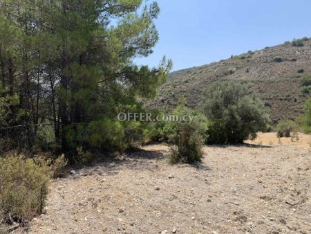 Field for sale in Gerasa, Limassol - 1