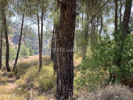 Field for sale in Gerasa, Limassol