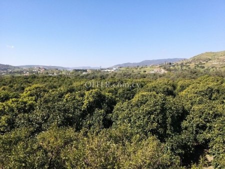 Agricultural Field for sale in Moni, Limassol