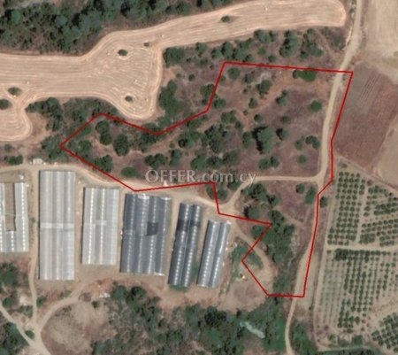 Agricultural Field for sale in Parekklisia, Limassol
