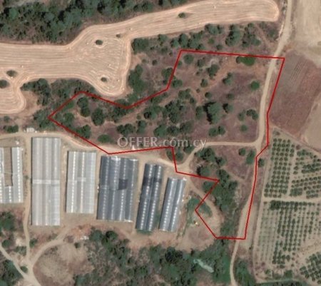 Agricultural Field for sale in Parekklisia, Limassol - 1