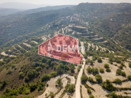 Residential Land  For Sale in Koili, Paphos - DP4035 - 8