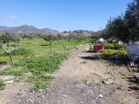 Field for sale in Moni, Limassol - 10
